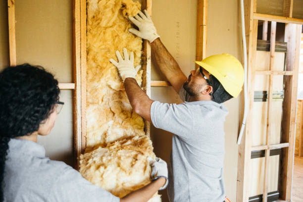 Insulation Replacement Services in Horn Lake, MS